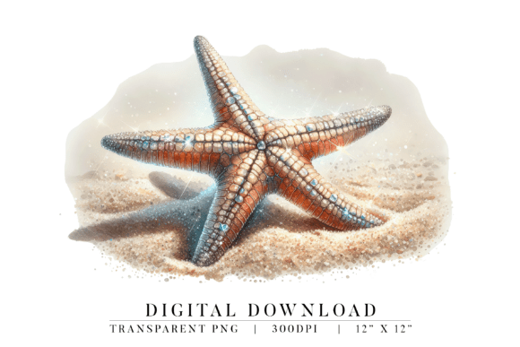 Download Sparkle Starfish Beach PNG - Premium Bundle