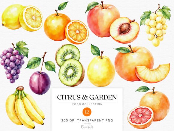 Download Watercolor Fruits - Citrus and Garden - Garden Collection